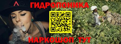 прущие крисы Лесосибирск