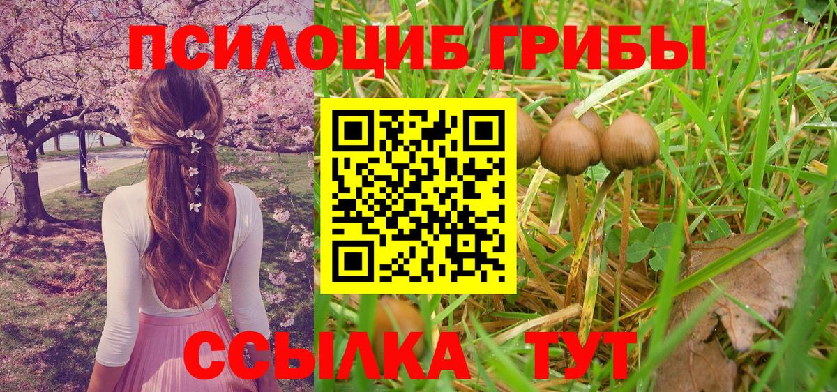 Галлюциногенные грибы Psilocybine cubensis  Вход с VPN  Галлюциногенные грибы мицелий  Гулькевичи 