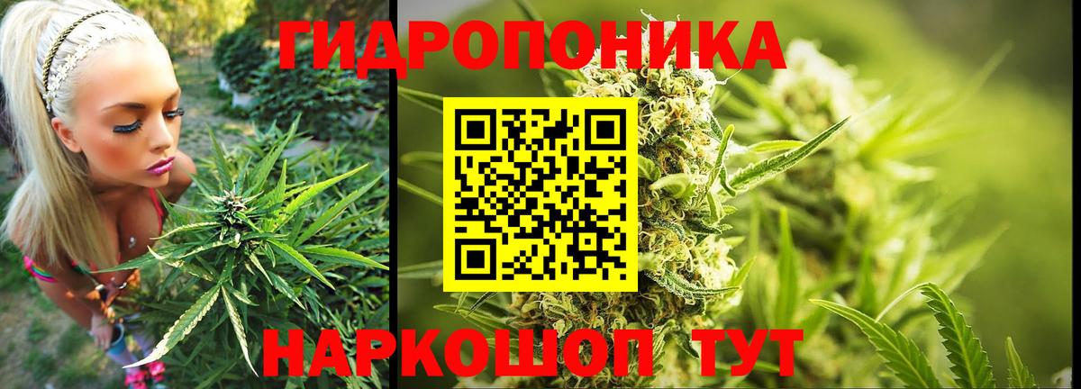 Марихуана White Widow  Шишки марихуана планчик  Конопля OG Kush  Гулькевичи  Каннабис планчик  Вход с VPN 